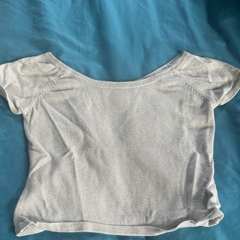 Women's Gray crop top